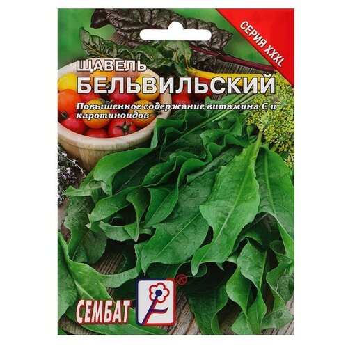 ������ ������ ������ ���L ������ 