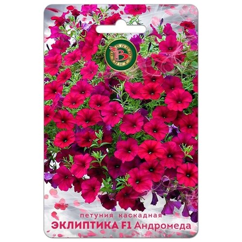 ������ ������ ������ ������� ��������� 