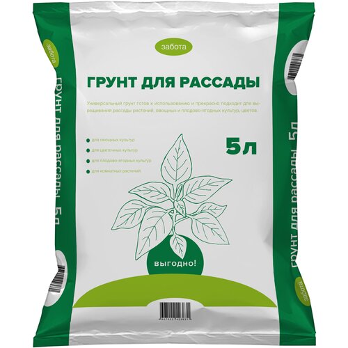 ������ ������ ������ ��� �������, ����������, ����� ����������� 5 �. ����