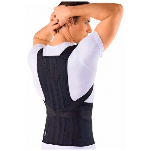 ������ ������ ������ ORTO ��� 110, ������ L2, ���� 165-190, ������ 51 ��, ������ ����