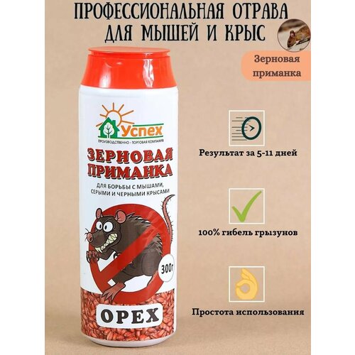 ������ ������ ������ ������ �� ����� � ����, ���� ����