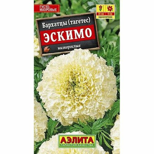 ������ ������ ������. �������� 