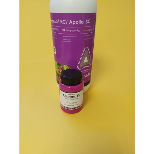 ������ ������ �������� ������ 100 �� ����