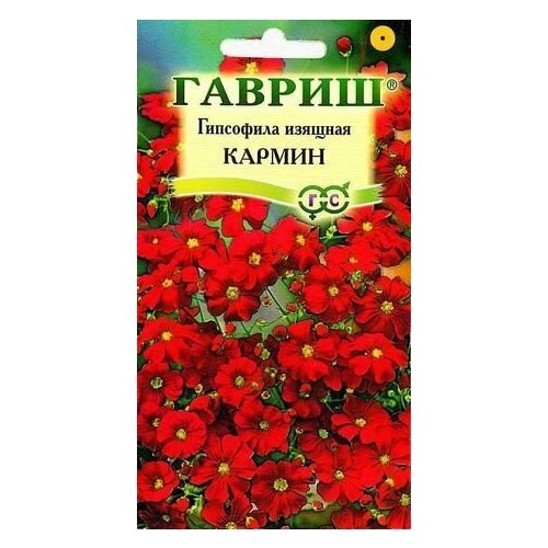 ������ ������ ��������� ������� ������ ����