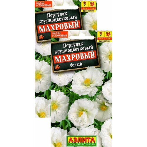 ������ ������ �������� �������� ����� (0,05 �), 2 ������ ����