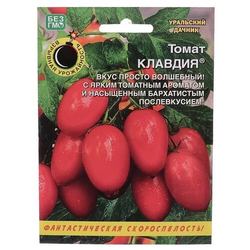 ������ ������ ������ ��������� ������ ����� �������, 20 ��. ����