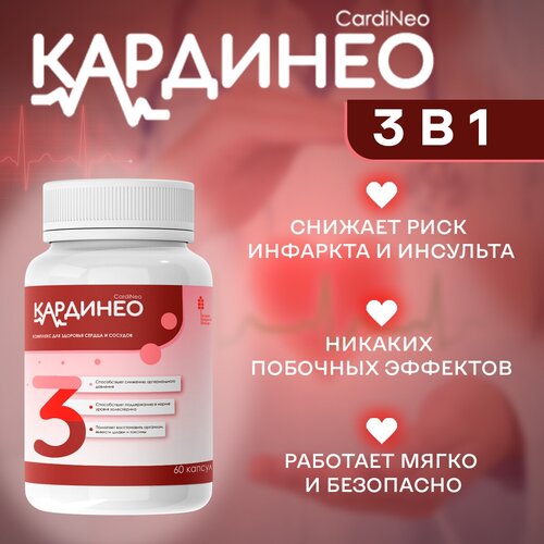 ������ ������ �������� ��� �������� ������ � ������� ��������, 1 ��, 60 ������ ����