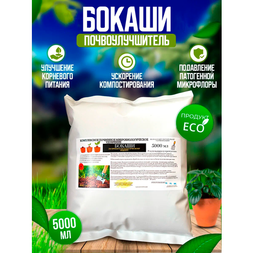 ������ ������ ������������ ��������� ������ 5� ����