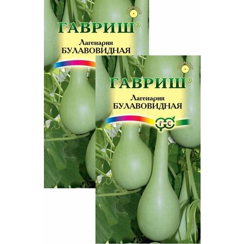 ������ ������ ��������� ������������ (5 �����), 2 ������ ����