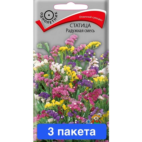 ������ ������ ����� ������� �������� ����� 3 ������ ����