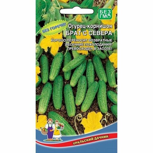 ������ ������ ������ ������ ���� � ������ �������� ��. (�����������) 12�� ����