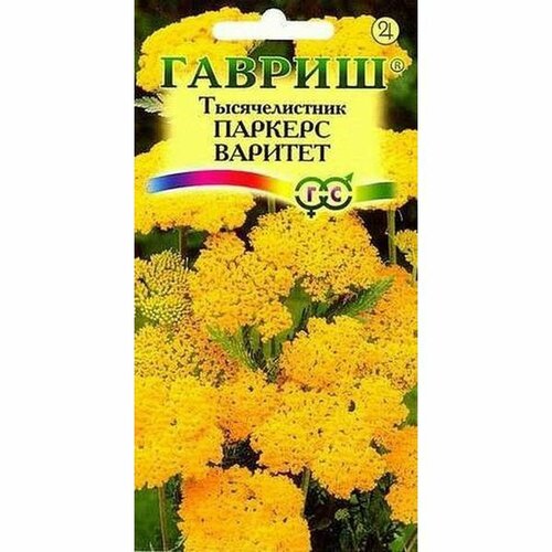 ������ ������ ������ ������������� ������� ������� ������, �����������, (������) 0,1� ����