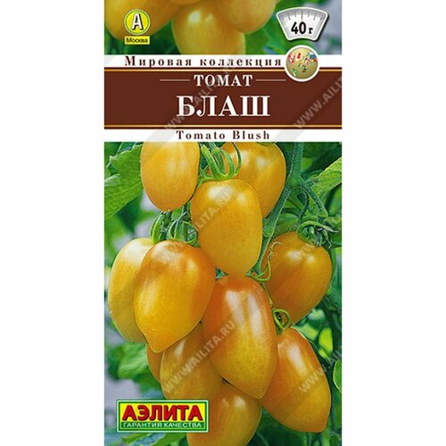 ������ ������ ������ ����� ���� (������) 20�� ������� ��������� ����