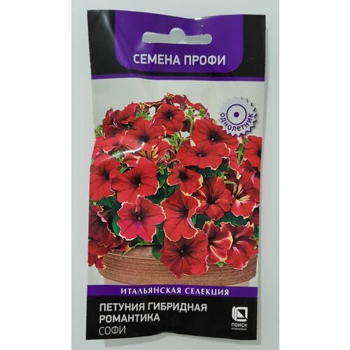 ������ ������ ������� ��������� ��������� ���� ������ ����� 7 �� ����