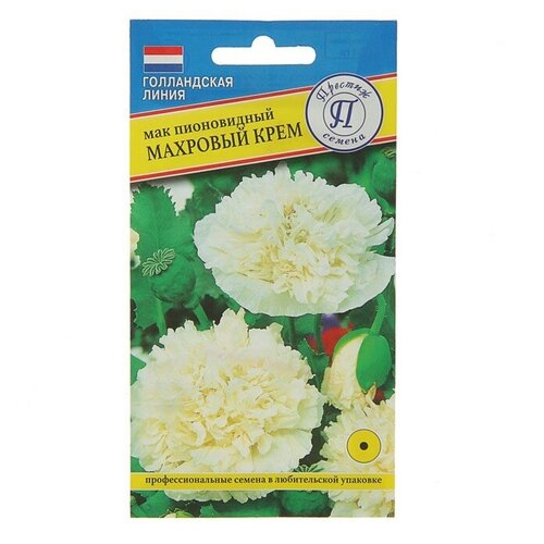 ������ ������ ������ / ������� ������/ ������ ����� ��� ����������� �������� ���� ����