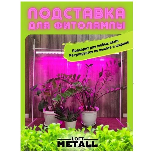 ������ ������ ��������� ��� ��������� 110, ��������� ��������������� ����