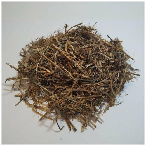 ������ ������ ����� �������� (������) 500 � ����