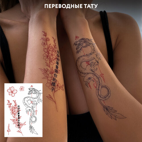 ������ ������ MIAMITATS ���������� ���� Luck (middle) ����