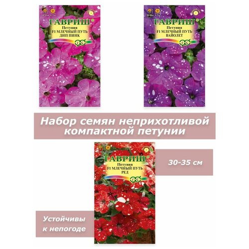 ������ ������ ������ ������ ��� ���� ������� ����