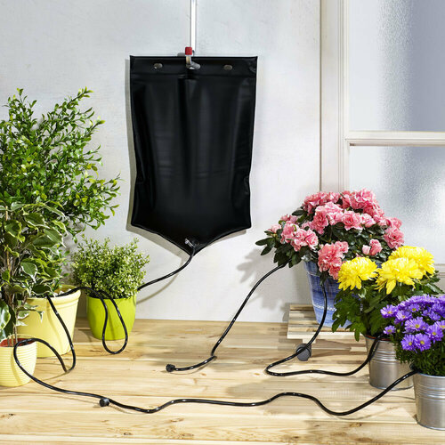 ������ ������ ������� ������ 