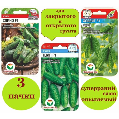 ������ ������ ����� ����� ������� �����+������+������ (3 �����) ����