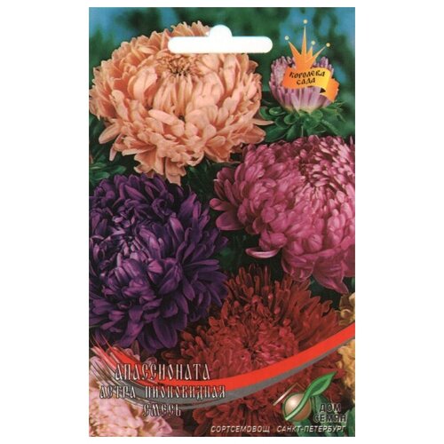 ������ ������ ����� ����������� ����������� �����, 80 ����� ����