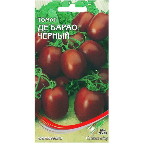 ������ ������ ����� ��- ����� ������, 15 ����� ����