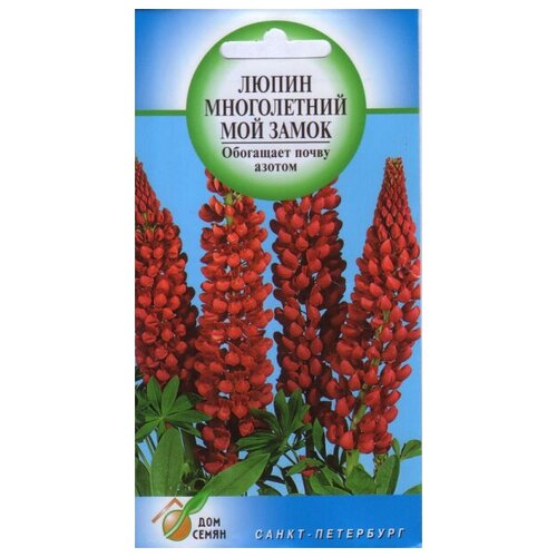 ������ ������ ����� ����������� ��� �����, 18 ����� ����