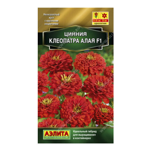 ������ ������ ������ ������ ��������� F1 ���� 12�� ��� 30�� (������) ����