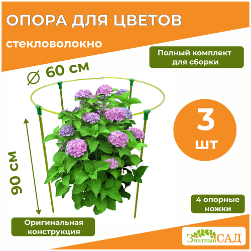 ������ ������ ����� ��� ������ /��������������/ �������� ��� ����, �������������, 3 ��. ����