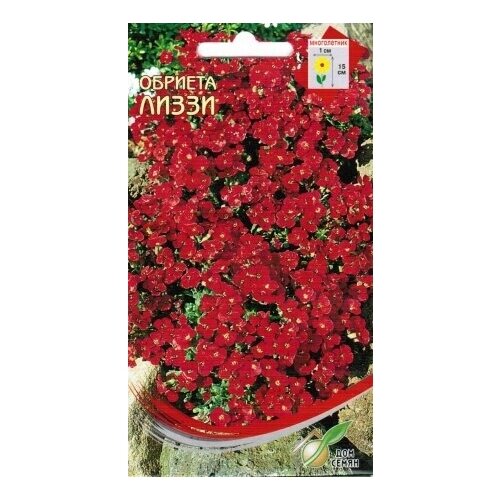 ������ ������ ������� ����������� �����, 75 ����� ����