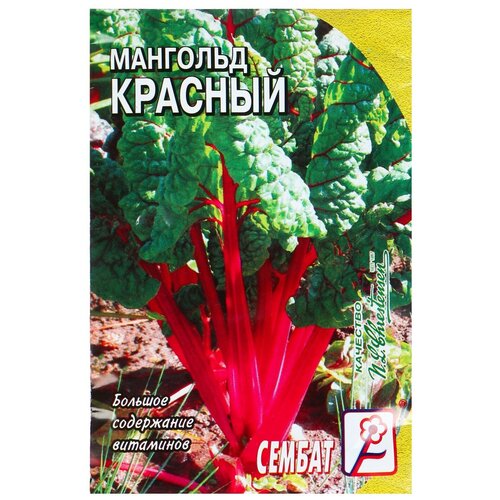 ������ ������ ������ �������� 