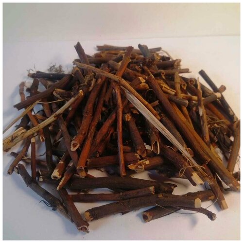 ������ ������ ��������� �������� (������) 500 � ����