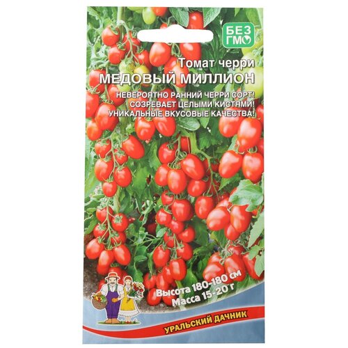 ������ ������ ������ ��������� ������ ����� ����� ������� �������, 20 �� ����