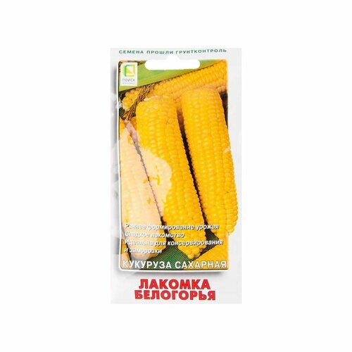 ������ ������ ������ �������� ������� ��������� 10� ������ (�����) ����