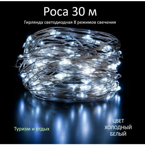 ������ ������ �������� ���� 30 �, ����� ����