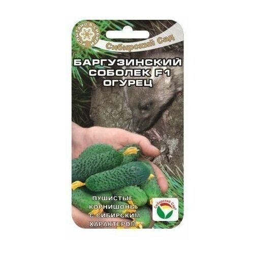 ������ ������ ������������ ������� F1 7�� ������ (��� ���) ����