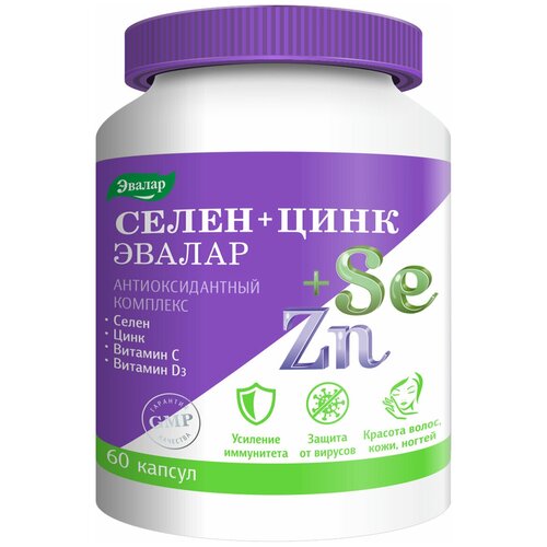 ������ ������ ����� + ���� ����., 60 ��. ����