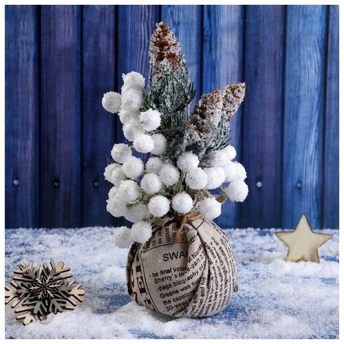 ������ ������ ����� 