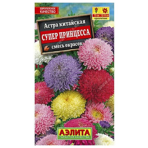 ������ ������ ����� 