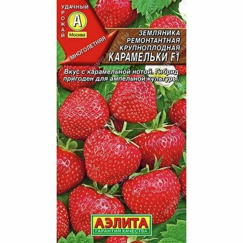 ������ ������ ������ ��������� ���������� F1 (������) 10�� ����