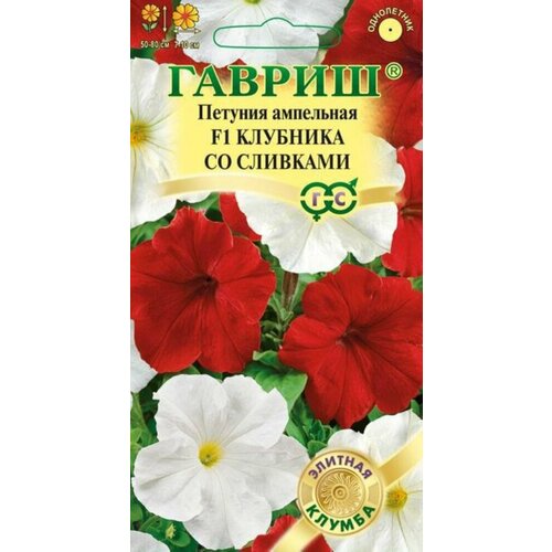 ������ ������ ������ ������� �������� �� �������� F1 �������� 5�� ��� 80�� (������) ����