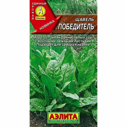 ������ ������ ������ ������ ���������� (������) 0,5� ����