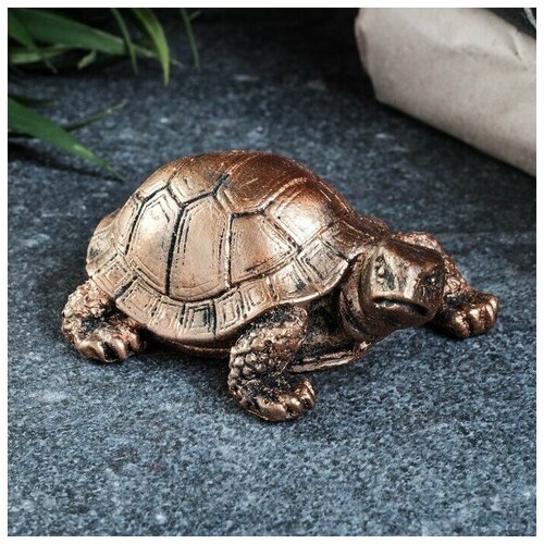 ������ ������ ������ 