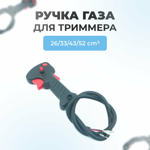 ������ ������ ����� ���� ��� �������� ����