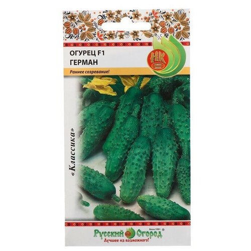 ������ ������ ������ ������ 