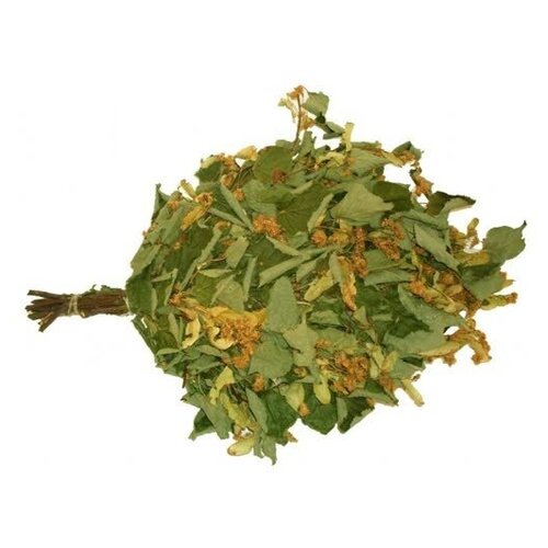 ������ ������ ����� (����) ����