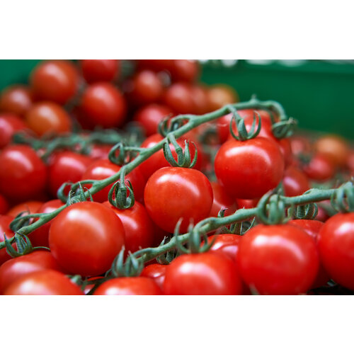 ������ ������ ������������� ������ ������ �������� ����