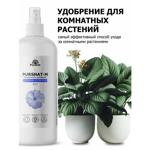 ������ ������ ��������� ��� ��������� �������� ������������� ������ ����� 500 �� ����