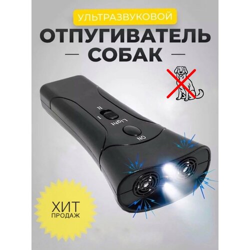 ������ ������ �������������� ������������ �����, ������ ����